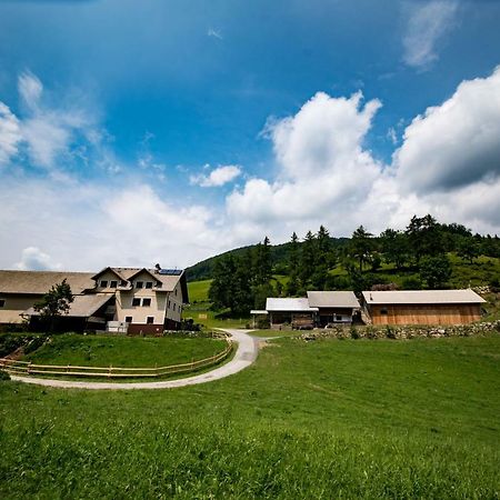 Tourist Farm Pr'Dovar Cerklje na Gorenjskem Exterior photo